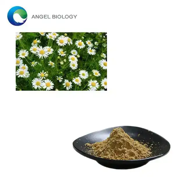 Canada’s Top Choice for Anthemis Nobilis Flower Extract in Sensitive-Skin Care